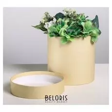 Подарочная коробка круглая «Крафт», 16 × 16 см