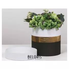 Подарочная коробка круглая «Пантон 04», 15 × 15 см