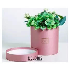 Подарочная коробка круглая «Пантон 06», 16 × 16 см