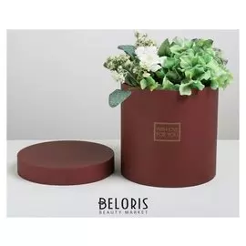 Подарочная коробка круглая «Пантон 06», 20 × 20 × 20 см