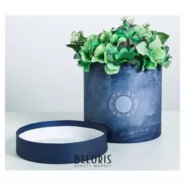 Подарочная коробка круглая «Пантон 07», 16 × 16 см