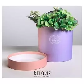 Подарочная коробка круглая «Пантон 08», 16 × 16 см