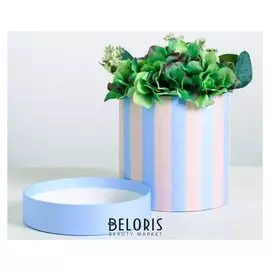 Подарочная коробка круглая «Полоски», 15 × 15 см