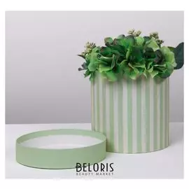 Подарочная коробка круглая «Зелёные полосы», 16 х 16 см