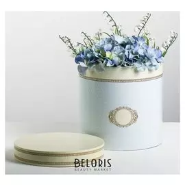 Подарочная коробка «Ладури», 20 × 20 х 20 см