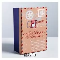 Подарочная коробка «Новогодняя посылка», 24 × 15.5 × 9.5 см