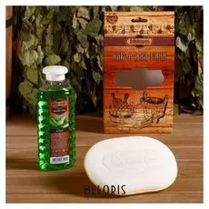 Подарочный набор "Добропаровъ": шампунь"алоэ" и мочалка для тела