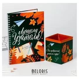 Подарочный набор ежедневник и органайзер для ручек Лучшему учителю зеленый