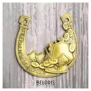 Подкова «Денежная», 6 х 5,9 см