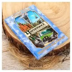 Подставка под горячее «Челябинск»