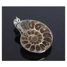 Подвеска "Аммонит"