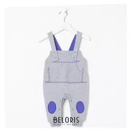 Полукомбинезон для мальчика, цвет серый, рост 68 см