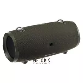 Портативная колонка Luazon Ps-20, 20 Вт, 2000 мач, зеленый