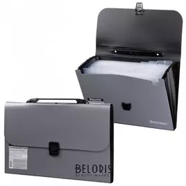 Портфель пластиковый Brauberg А4 (327х254х30 мм), 13 отделений, индексные ярлыки, фактура диагональ, серебристый