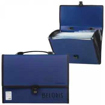 Портфель пластиковый Brauberg "Дипломат", А4 (330х240х25 мм), 13 отделений, с окантовкой, фактура бисер, синий