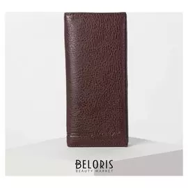 Портмоне мужское, 3 отдела, для карт, на магните, наружный карман, цвет коричневый