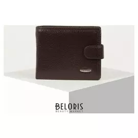 Портмоне мужское, отдел для удостоверений/пропусков, 2 отдела, для карт, для монет, цвет коричневый