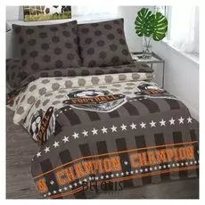 Постельное бельё 1,5 сп артпостель «Чемпион», 145х215, 150х214, 70х70см - 2шт