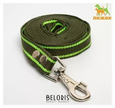 Поводок брезентовый, 3 м х 2,5 см, хаки/зелёный