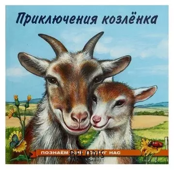 Познаём мир вокруг нас. приключения козлёнка, 16 стр.