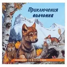 Познаём мир вокруг нас «Приключения волчонка»