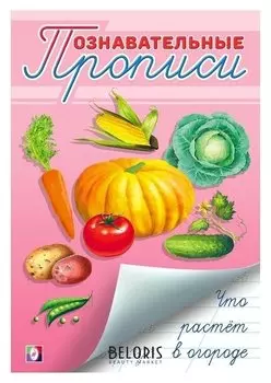 Познавательные прописи Что растёт в огороде