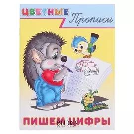 Пр.цп. пишем цифры