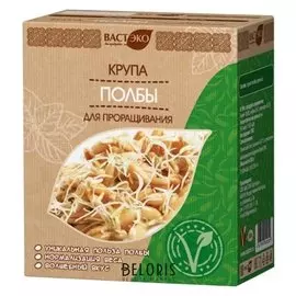 Проращивание Вастэко