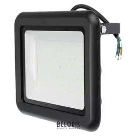 Прожектор светодиодный ASD сдо-7-100, 100 Вт, 230 В, 6500 К, 8000 Лм, Ip65