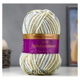 Пряжа " подмосковная Gold" 50% шерсть, 50% акрил 250м/100гр (4178, секционный)