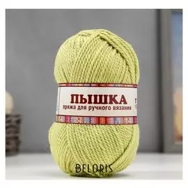 Пряжа "Пышка" 100% импортная п/т шерсть 3-х нит. 110м/100гр (189 фисташк)
