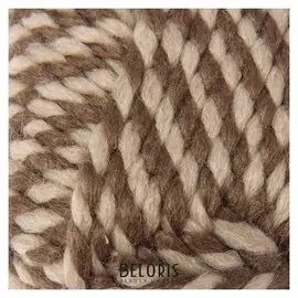 Пряжа "Spaghetti" 25% шерсть, 75% акрил 60м/100гр (21366 бежев. меланж)