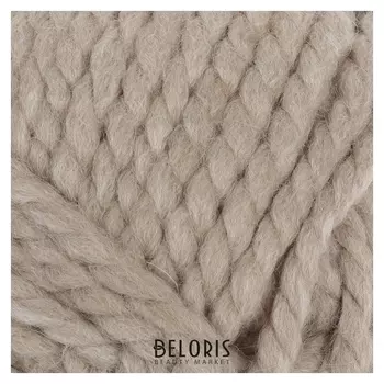 Пряжа "Spaghetti" 25% шерсть, 75% акрил 60м/100гр (23116 бежевый песок)