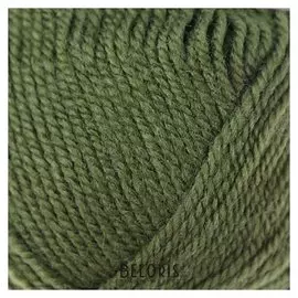 Пряжа "Super Excellence" 49% шерсть, 51% акрил 228м/100гр (82 зеленый)