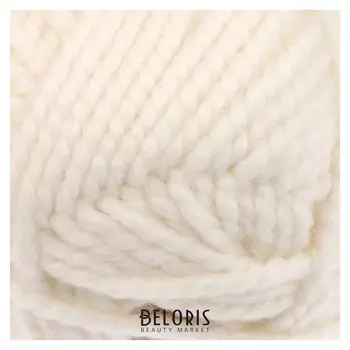 Пряжа "Триумф" 20% шерсть, 80% акрил 100м/100гр (205 белый)