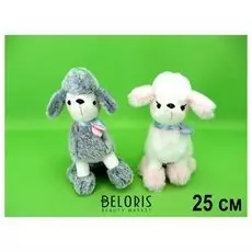 Пудель