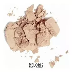 Пудра для лица LN Professional