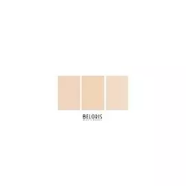 Пудра 2 в 1 Ideal balance