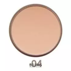 Пудра для лица Parisa