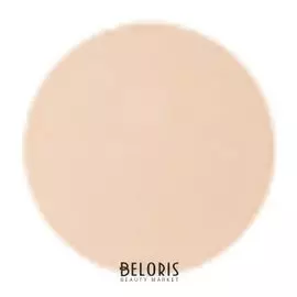 Пудра Perfection Matte Powder