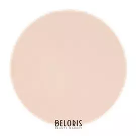 Пудра Perfection Matte Powder