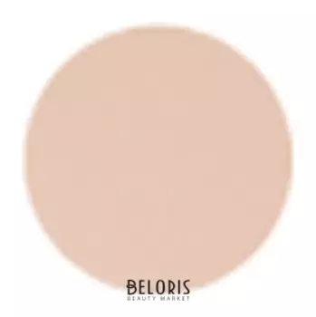 Пудра Perfection Matte Powder