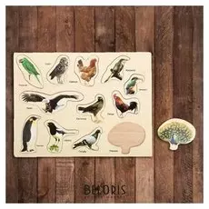 Рамка-вкладыш Мир птиц