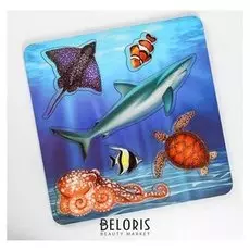 Рамка-вкладыш Морские обитатели. Акула