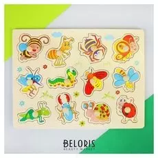 Рамка-вкладыш "Насекомые"