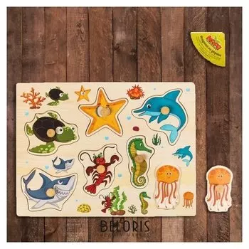 Рамка-вкладыш Подбери картинку: На дне морском