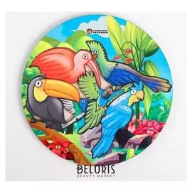 Рамка-вкладыш Птицы