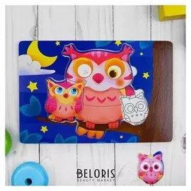 Рамка-вкладыш с основой под роспись Совушки