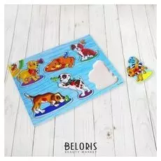 Рамка-вкладыш Собачки на цветном основании 6 элементов