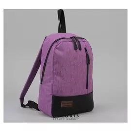 Ранец молодёжный, отдел на молнии, наружный карман, цвет розовый